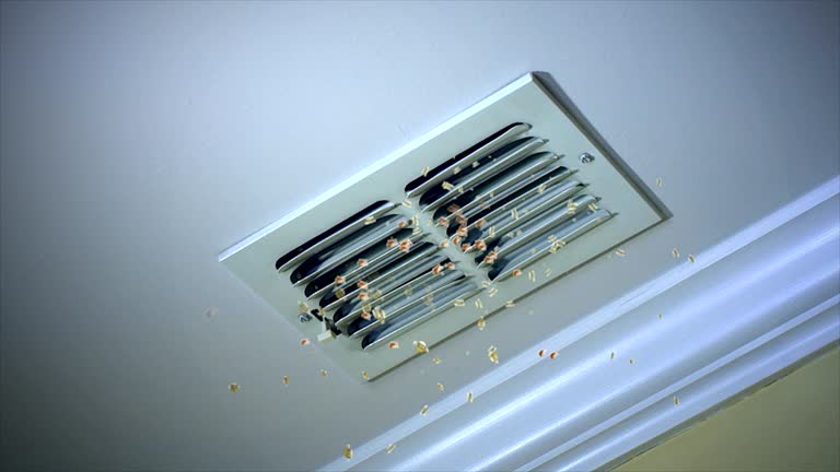 Best Affordable Duct Cleaning Services  in Silver Lake, NC