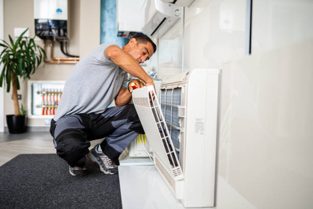 Best Air Duct Sanitizing Services  in Silver Lake, NC